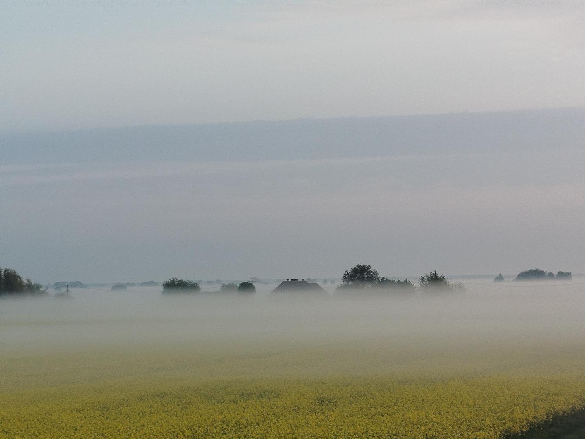 Bed and Breakfast Tropikalna Odnowa Falkowo Exteriér fotografie